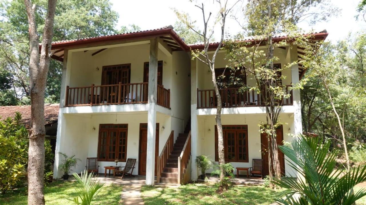 Isanka Lion Lodge Sigiriya Bagian luar foto