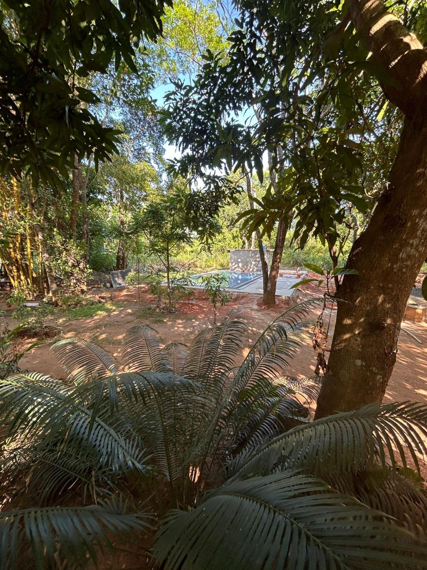 Isanka Lion Lodge Sigiriya Bagian luar foto