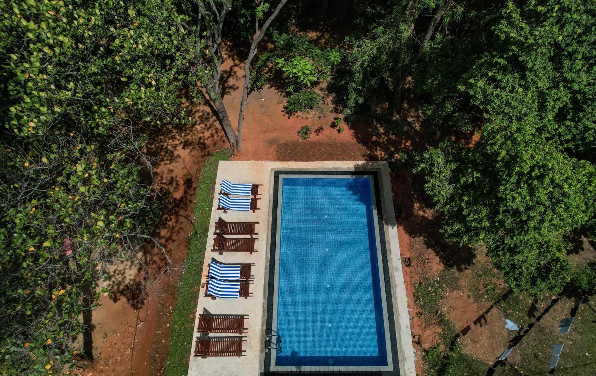 Isanka Lion Lodge Sigiriya Bagian luar foto